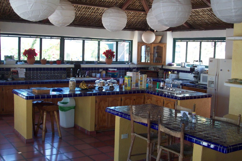 PALAPA 1