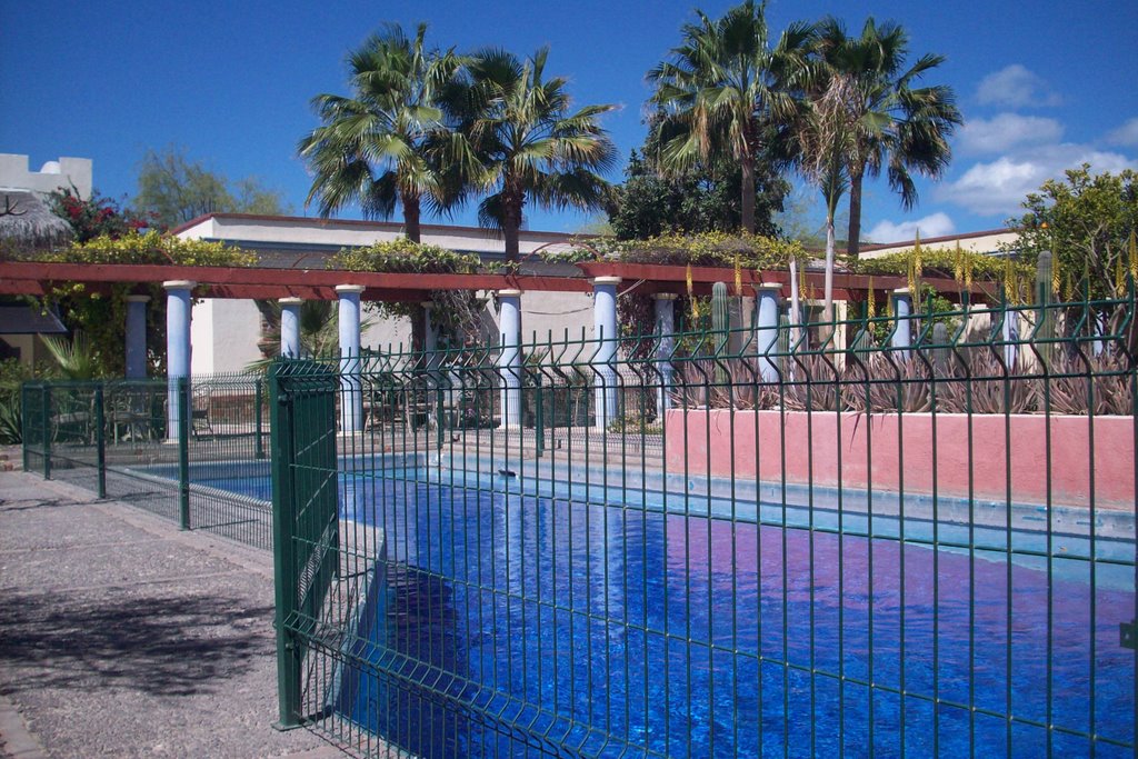 THE POOL